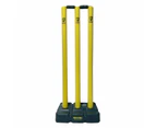 Cricket Australia Rock N Roll Cricket Stumps with Bluetooth