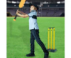 Cricket Australia Rock N Roll Cricket Stumps with Bluetooth