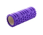 Foam Roller - Extra Firm High Density Deep Tissue Massager With Spinal Channel,Purple