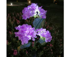Outdoor Solar Lights, Colored Lights, Hydrangea Lights For Yard Decoration, Garden Decoration,Purple