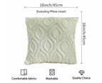 Decorative Embrace Pillowcase Soft Plush Faux Wool Sofa Pillowcase Set Of 2,Grass Green