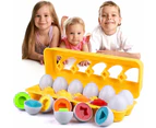 Color Shape Maching Eggs , Easter Educational Maching Egg Set Toy With Yellow Holder,Early Learning Shapes & Sorting Recognition Puzzle Skills Study For To