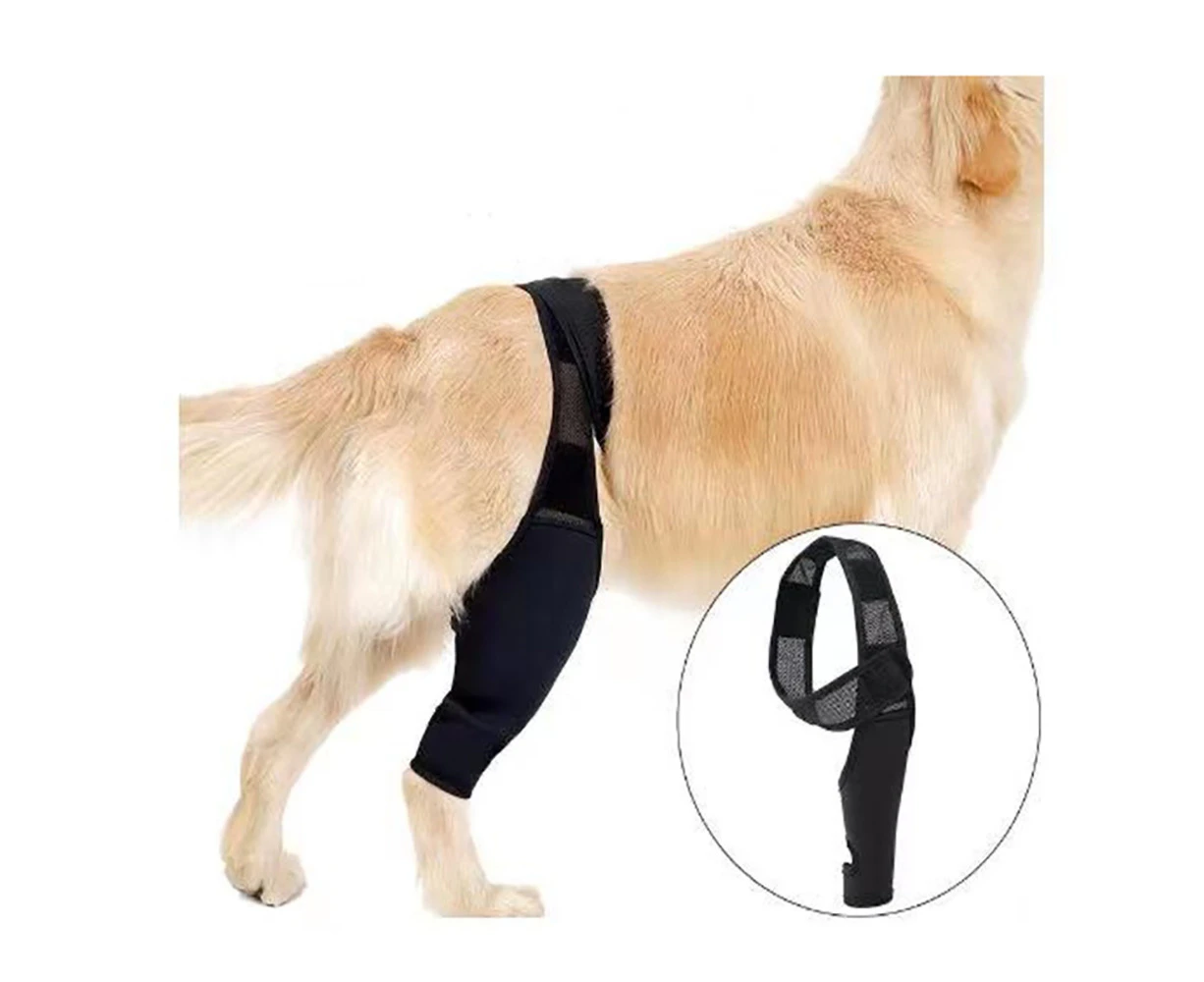 Dogs Joint Health For Dogs Dog Knee Brace Dog Leg Brace For Torn Knee Cap Dislocation Wounds Care Patella Knee Wounds Prevent Licking,M