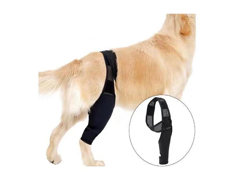 Dogs Joint Health For Dogs Dog Knee Brace Dog Leg Brace For Torn Knee Cap Dislocation Wounds Care Patella Knee Wounds Prevent Licking,M