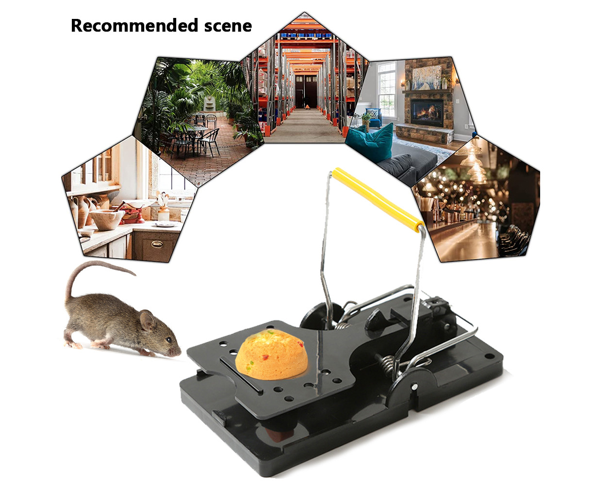 8Pcs Mouse Traps for House Small Mice Trap for Indoor Reusable Rat