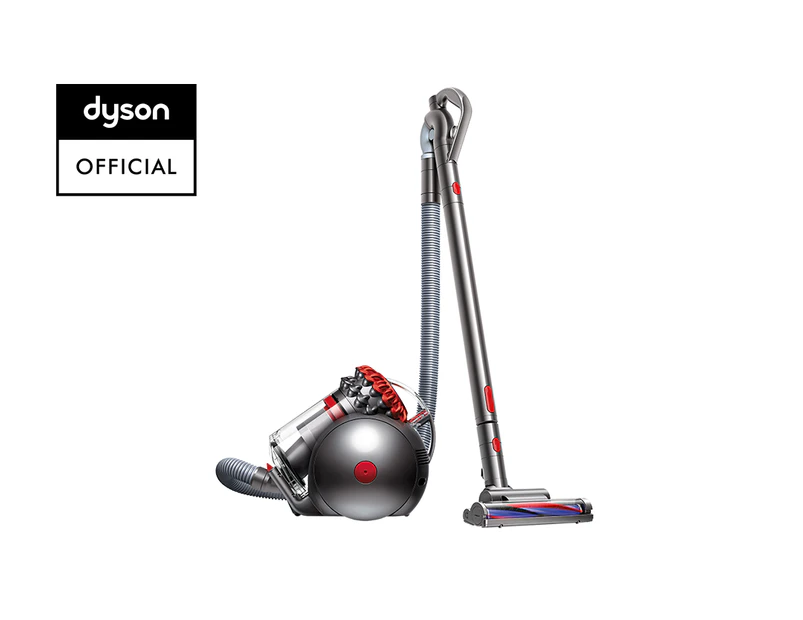 Dyson Big Ball vacuum