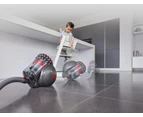 Dyson Big Ball vacuum