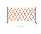 vidaXL Garden Trellis Fence Orange 150x80 cm Solid Firwood