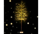 Jingle Jollys Solar Christmas Tree 2.1m Twigs 480 LED Lights Xmas Tree