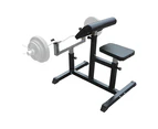 Preacher Curl Bench Weights Commercial Bicep Arms