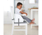 Ingenuity Baby Base Booster Seat - Teal