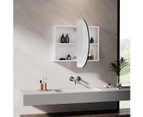ELEGANT Bathroom Mirror Cabinet Vanity Wall Mirrored Cupboard White