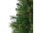 Balsam Pine Table Top Christmas Tree with 104 Tips - 65cm - Green