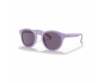 Men's Sunglasses, PH4184 - Lavendar
