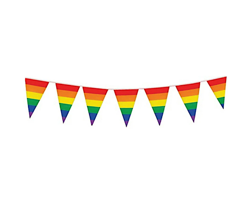 Rainbow Flag Fabric Banner 3.6m