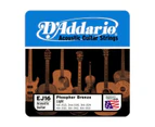 D'Addario EJ16 Phosphor Bronze Acoustic Guitar Strings - Light Gauge - 12-53