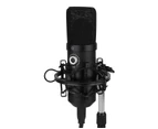 Alctron UM900V USB Recording Condenser Microphone Windows Mac Shockmount Cable