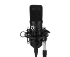 Alctron UM900V USB Recording Condenser Microphone Windows Mac Shockmount Cable