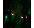 Stockholm 11.9M Christmas Lights 240 LED String Lights Fairy Tree