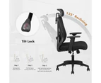 Advwin Ergonomic Office Chair Mesh High Back Desk Chair with Lumbar Support Adjustable Headrest and Armrest