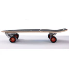 29.5'' 75cm Sealed Land Surf Skate Surfskate Skateboard Complete Pumping Carving AU STOCK - Zebra
