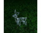 Stockholm 60x56x12CM Christmas Lights 50 LED Motif Lights Solar Stand Reindeer Cool White