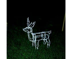 Stockholm 60x56x12CM Christmas Lights 50 LED Motif Lights Solar Stand Reindeer Cool White