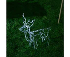 Stockholm 60x56x12CM Christmas Lights 50 LED Motif Lights Solar Stand Reindeer Cool White