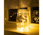 Stockholm Christmas Lights 100 LEDs 10M String Warm White Indoor Garden Decoration