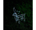 Stockholm 60x56x12CM Christmas Lights 50 LED Motif Lights Solar Stand Reindeer Cool White