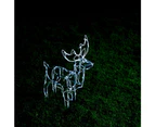 Stockholm 60x56x12CM Christmas Lights 50 LED Motif Lights Solar Stand Reindeer Cool White