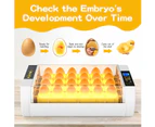 Oppsbuy 24 Eggs Incubator Fully Automatic Poultry Egg Hatcher Auto Turning LED Lamps