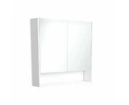 Fienza Mirror Cabinet 900mm with Undershelf Gloss White PSC900SW