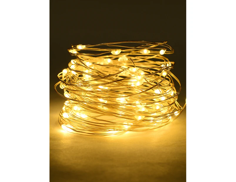 100 Warm White Micro LED Seed Bulb Christmas Wire Battery Lights - 10m - Warm White with Clear Wire Casing