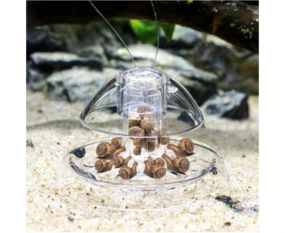 Snail Aquarium Fish Plant Tank Plastic Clear Catch Box