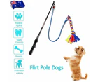 Outdoor Play Fun Interactive Dog Flirt Pole Extendable Teaser Wand Tug Toy 90CM