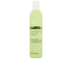 Energize Hair With Milk Shake Shampoo 300ml