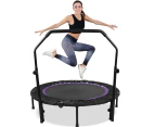 Advwin 48" Foldable Mini Trampoline Rebounder Handrail Fitness Trainer Exercise Home Purple Max Load 200KG