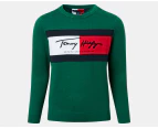 Tommy Hilfiger Boys' Signature Flag Sweater - Green Room