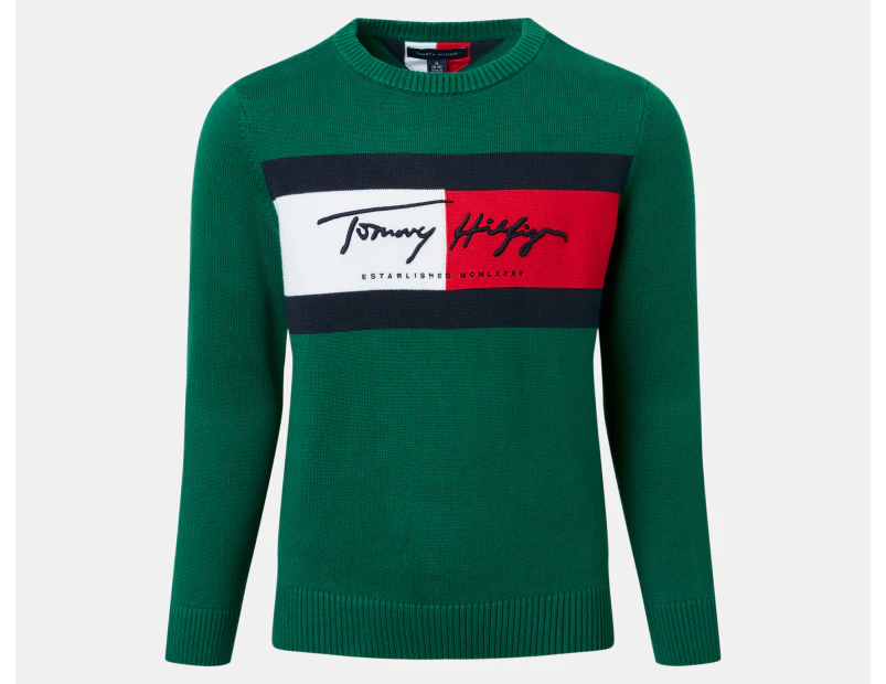 Tommy Hilfiger Boys' Signature Flag Sweater - Green Room