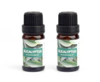 2pk Pure Essential Oils 10ml Aromatherapy Oil Natural Water Soluble Eucalyptus