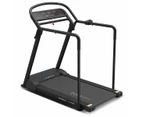 Lifespan fitness reformer discount treadmill