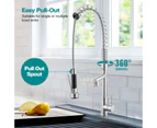 Spring Dual Spout Pull out Kitchen mixer tap Laundry sink Kitchen Faucets Chrome Brass