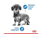 Royal Canin 3kg Mini Adult Dog Light Weight Care Dry Canine Food Kibble