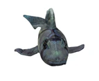 Port Jackson Shark Plush Toy - Huggable