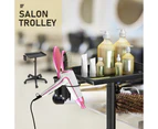 Hair Salon Trolley Stand Adjustable Hair Coloring Tattoo Beauty Salon Tool Cart