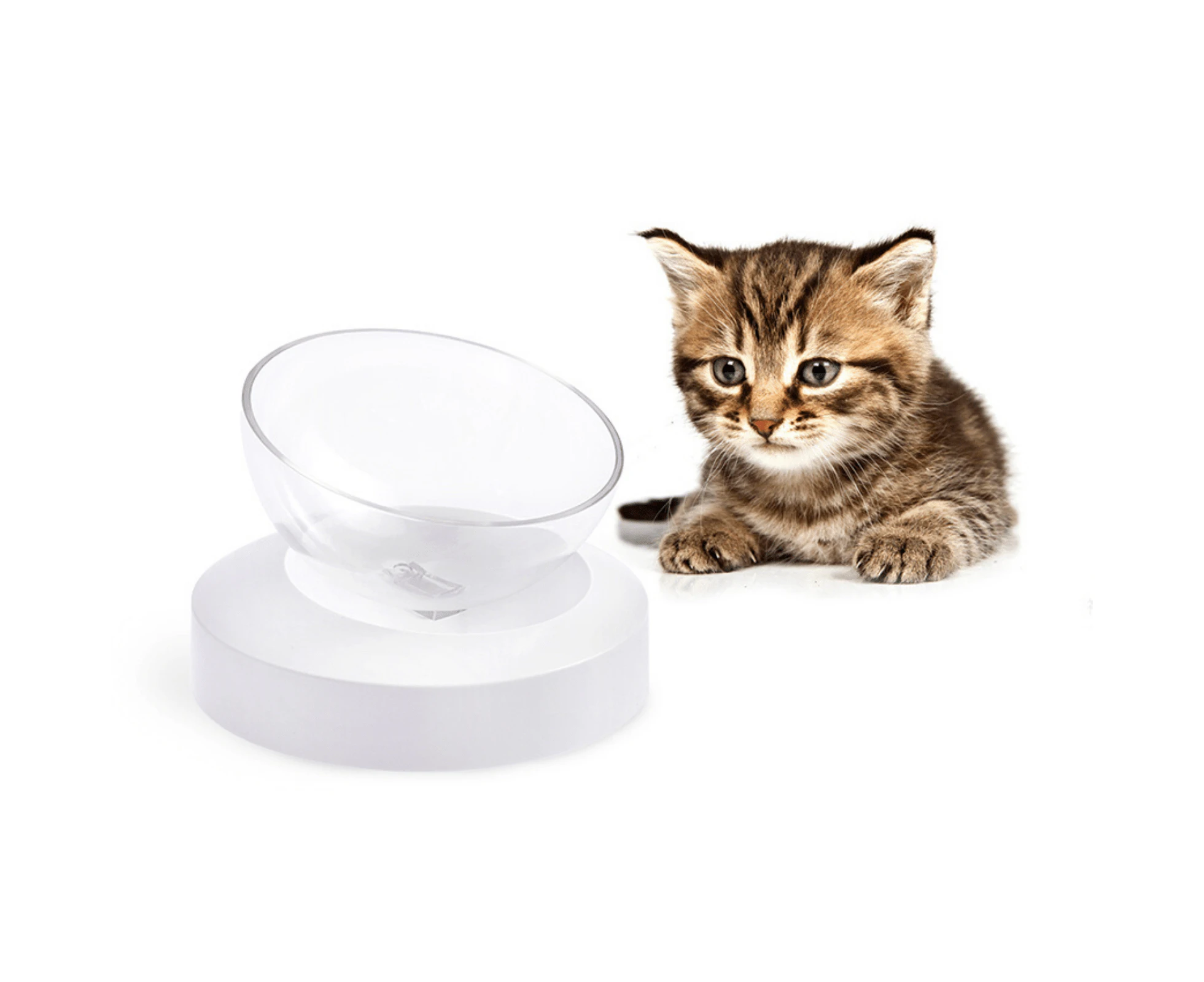 Elspet Adjustable Single Raised Cat Bowl