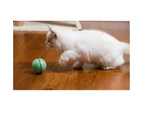 Automatic Rolling LED Dog and Cat Ball Toy - White