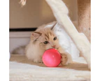 Automatic Rolling LED Dog and Cat Ball Toy - White
