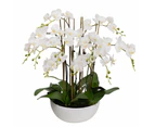 Glamorous Fusion Phalaenopsis Orchid Artificial Plant Flower Decorative Large 75cm Ceramic Pot - White